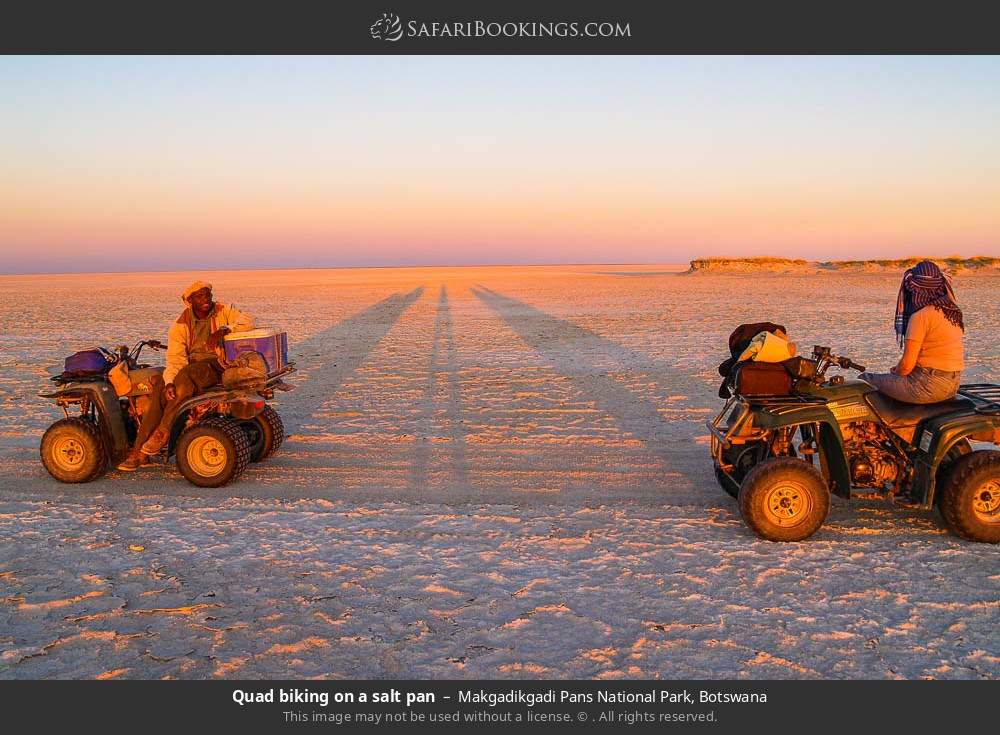 Quad biking on a salt pan in Makgadikgadi Pans National Park, Botswana