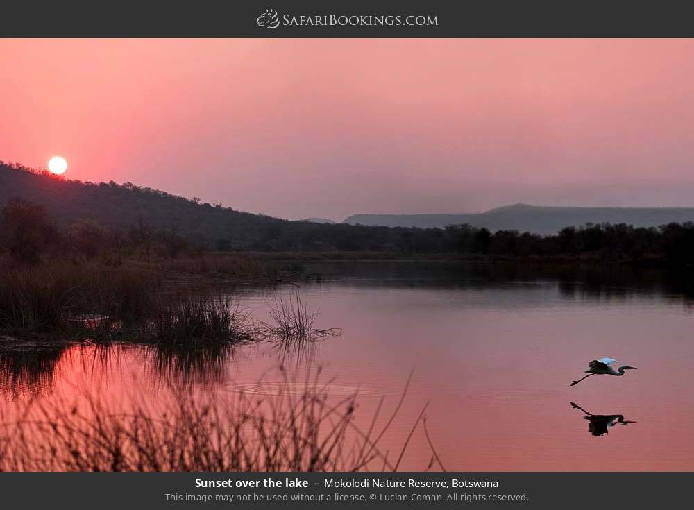 Sunset over the lake in Mokolodi Nature Reserve, Botswana