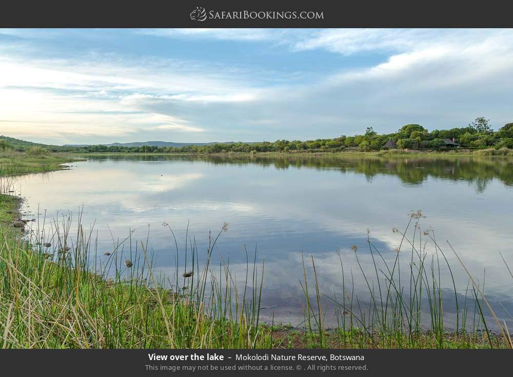 View over the lake in Mokolodi Nature Reserve, Botswana