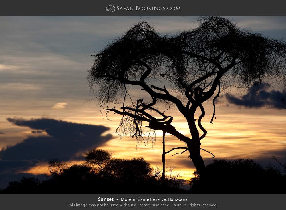 Sunset in Moremi Game Reserve, Botswana
