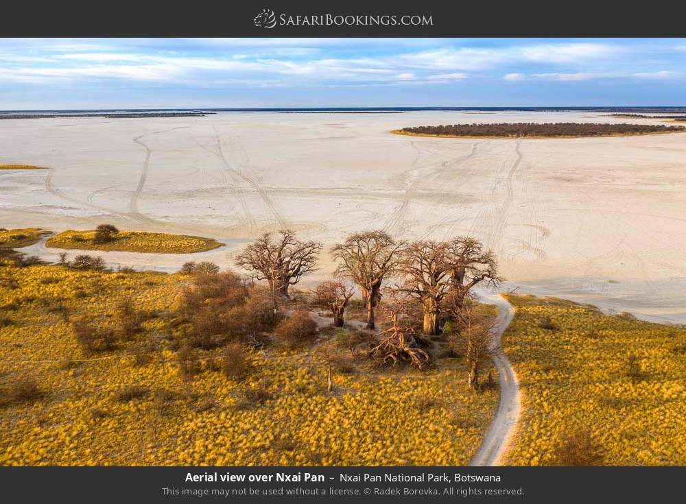 Aerial view over Nxai Pan in Nxai Pan National Park, Botswana