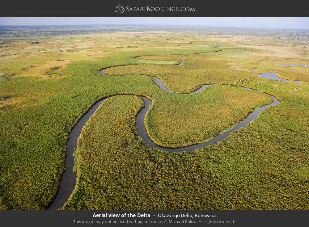 Aerial view of the Delta in Okavango Delta, Botswana