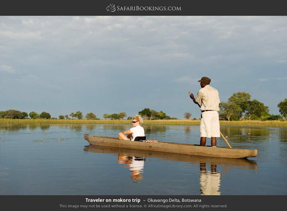 Traveler on mokoro trip in Okavango Delta, Botswana