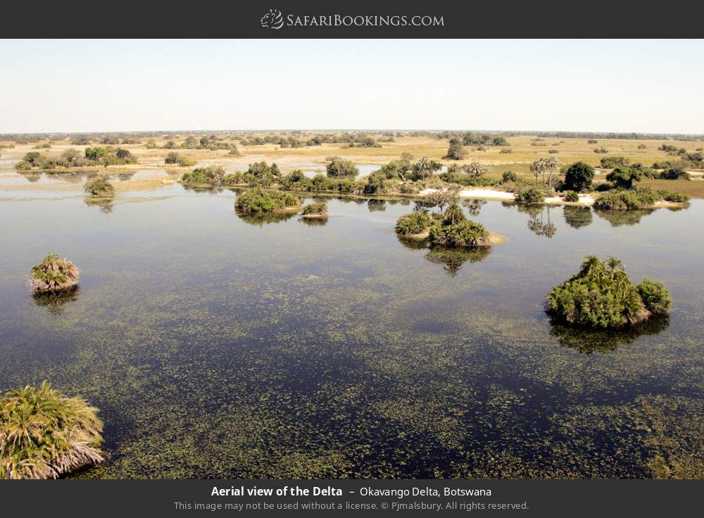 Aerial view of the Delta in Okavango Delta, Botswana