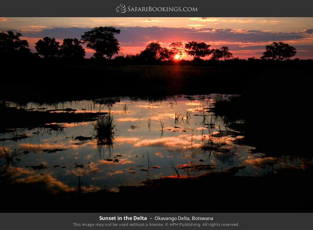 Sunset in the Delta in Okavango Delta, Botswana