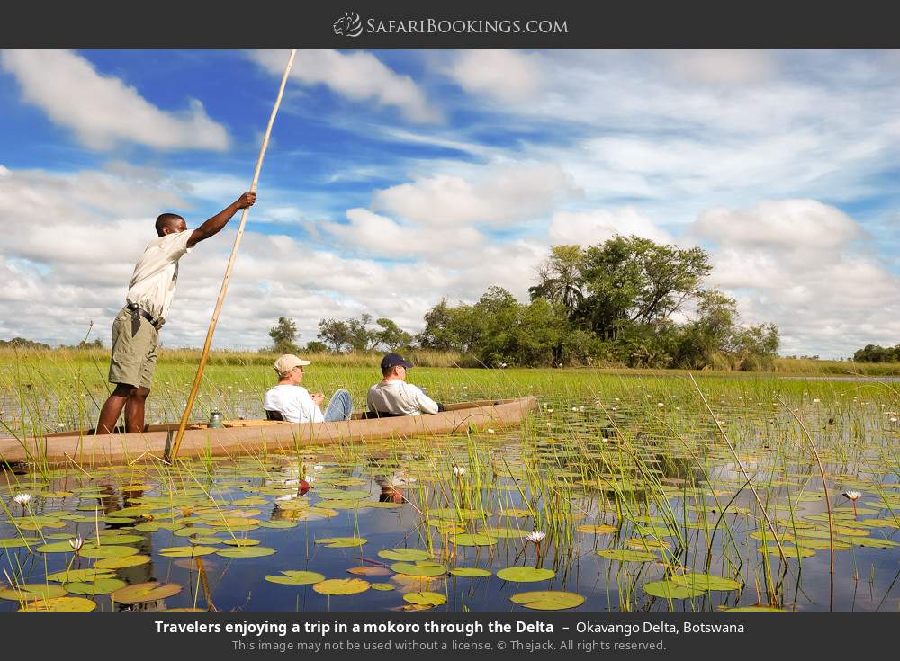 People enjoying a mokoro trip through the Delta in Okavango Delta, Botswana