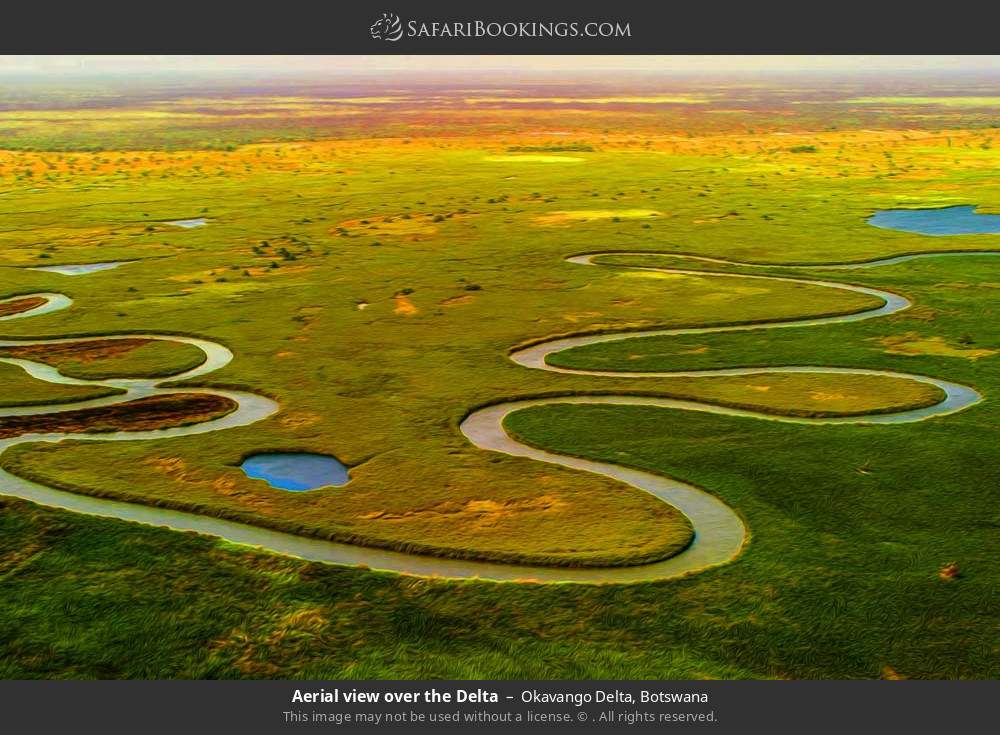 Aerial view over the Delta in Okavango Delta, Botswana