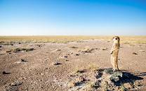 Makgadikgadi Pans National Park