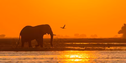 Chobe National Park