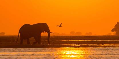 Chobe National Park