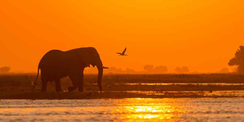 Best Time To Visit Chobe (Month by Month)