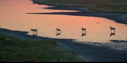 Makgadikgadi Pans National Park