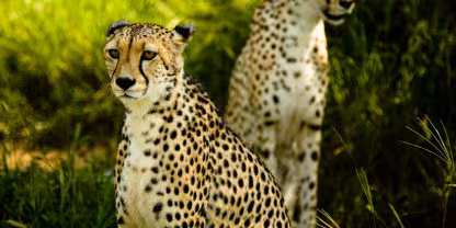 Mokolodi Nature Reserve