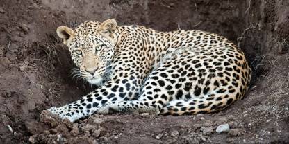 Northern Tuli Game Reserve