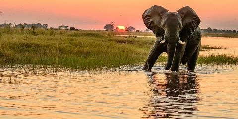 Victoria Falls to Okavango Delta Camping Safari