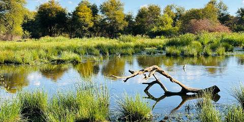 7-Day Mokoro Trails