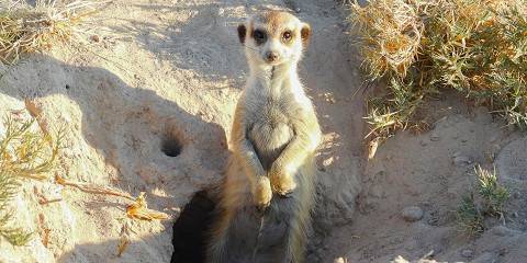 4-Day Nxai Pan National Park