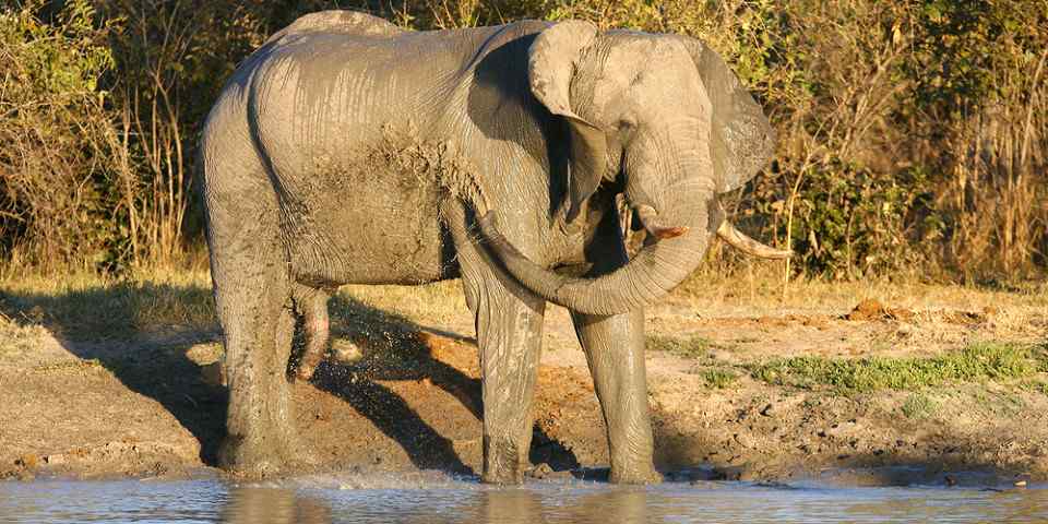 16-Day Kilimanjaro, Serengeti, Lake Victoria and Zanzibar