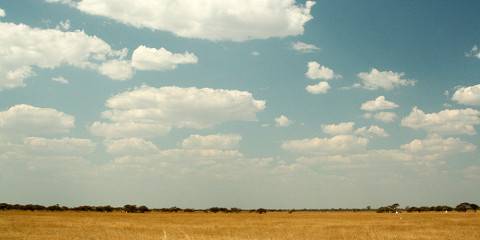 7-Day Nxai Pan, Kubu Island, and Makgadikgadi Pans