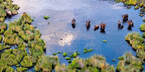 12-Day Zimbabwe & Botswana Budget Safari