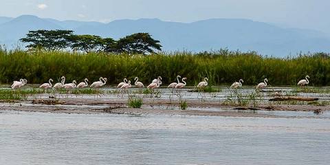 5-Day Visit Burundi