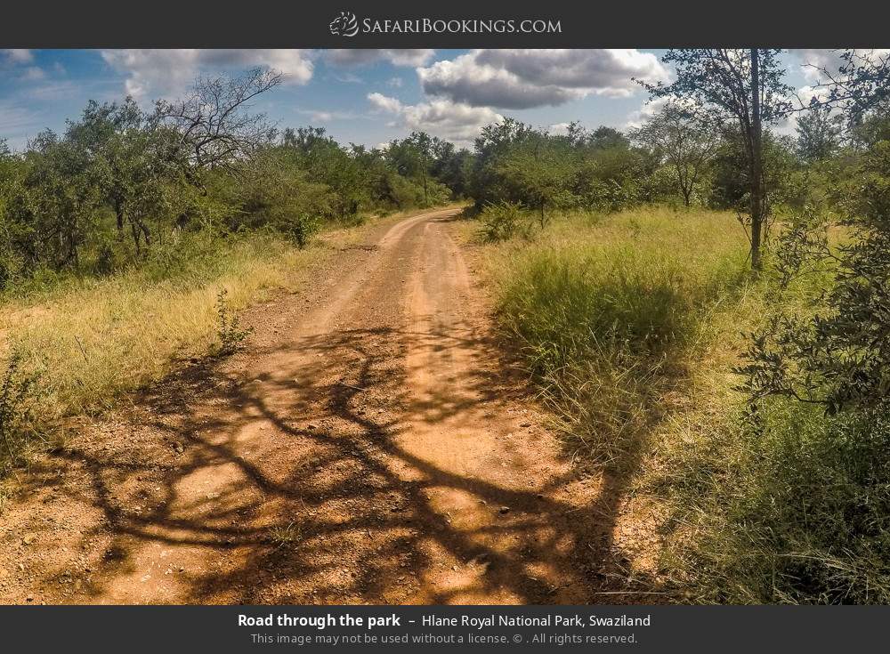 Road through the park in Hlane Royal National Park, Eswatini