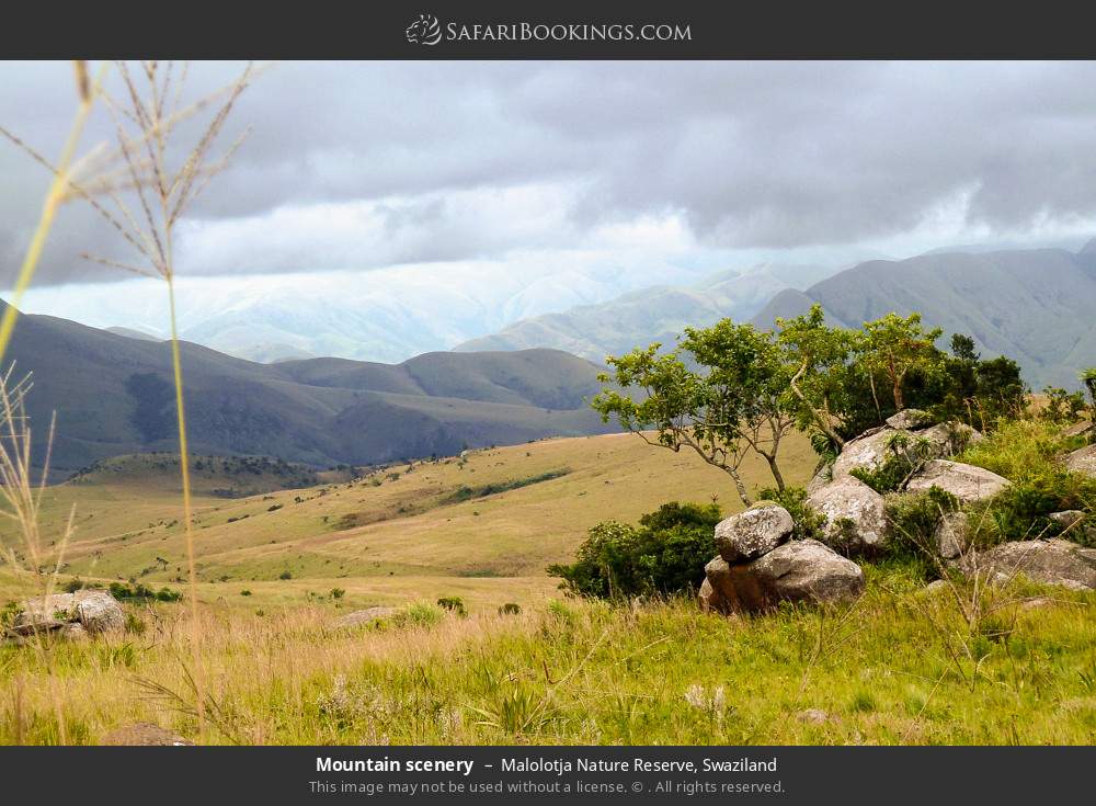 Mountain scenery in Malolotja Nature Reserve, Eswatini