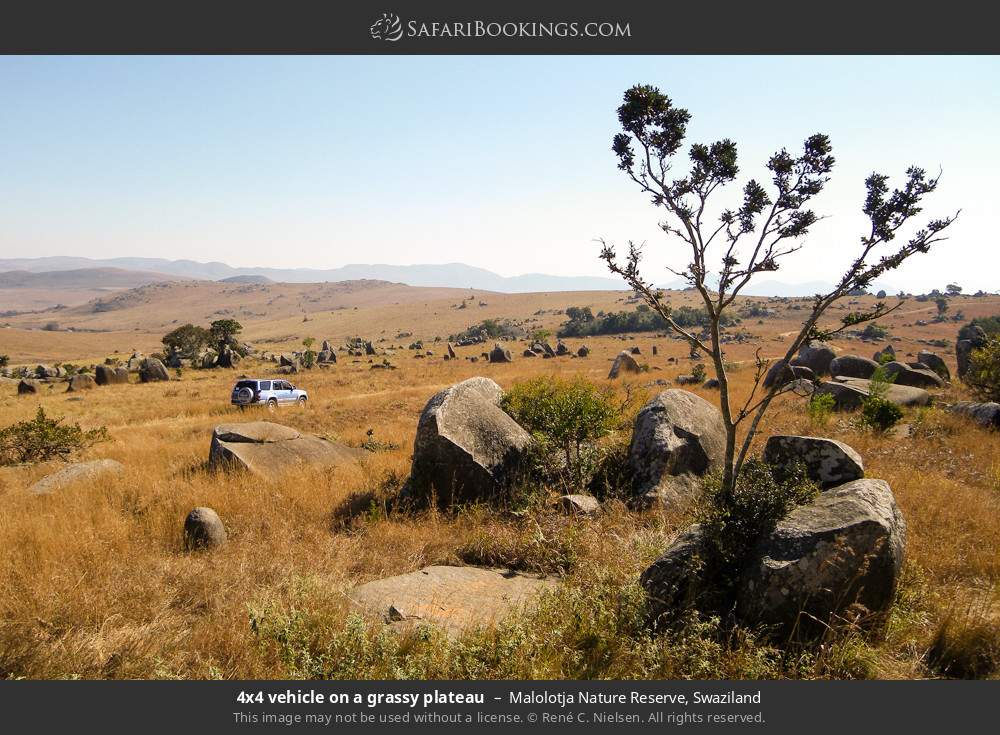4x4 vehicle on a grassy plateau in Malolotja Nature Reserve, Eswatini
