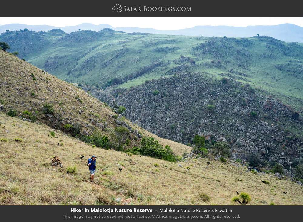 Hiker in Malolotja Nature Reserve in Malolotja Nature Reserve, Eswatini