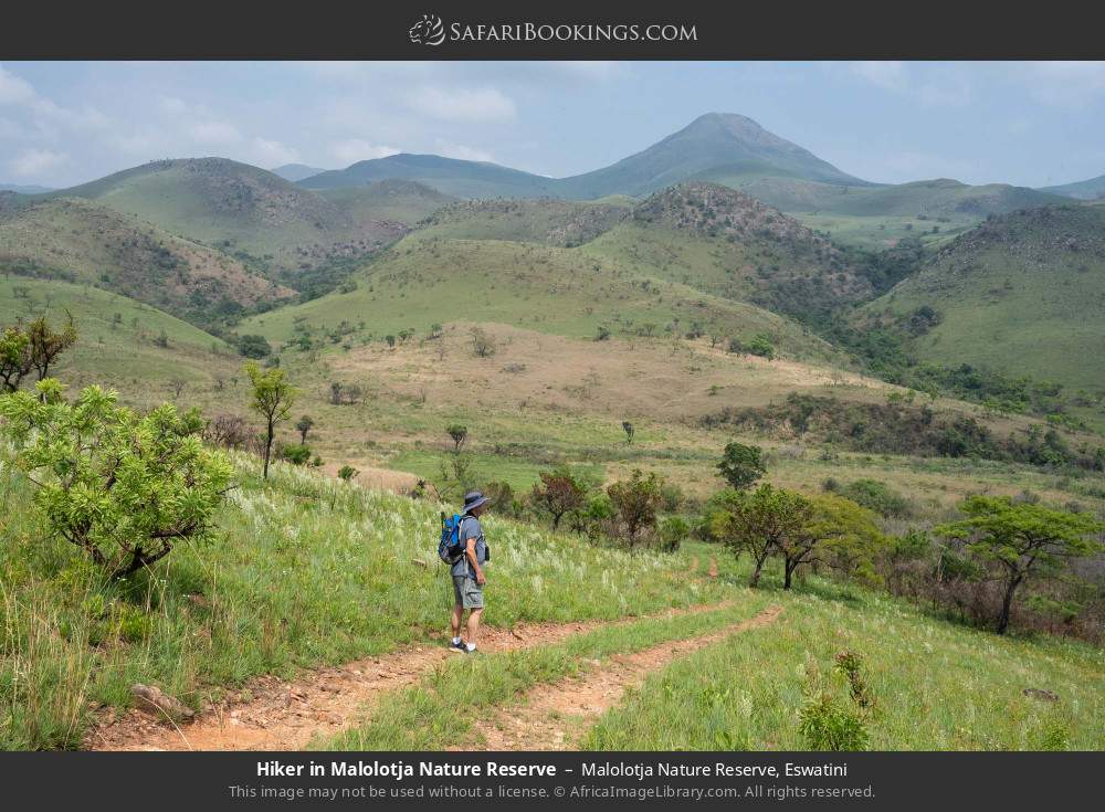 Hiker in Malolotja Nature Reserve in Malolotja Nature Reserve, Eswatini