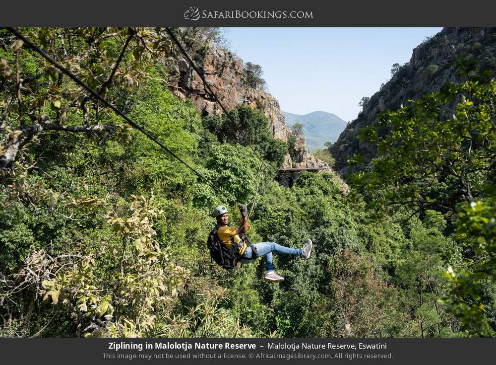 Ziplining in Malolotja Nature Reserve in Malolotja Nature Reserve, Eswatini