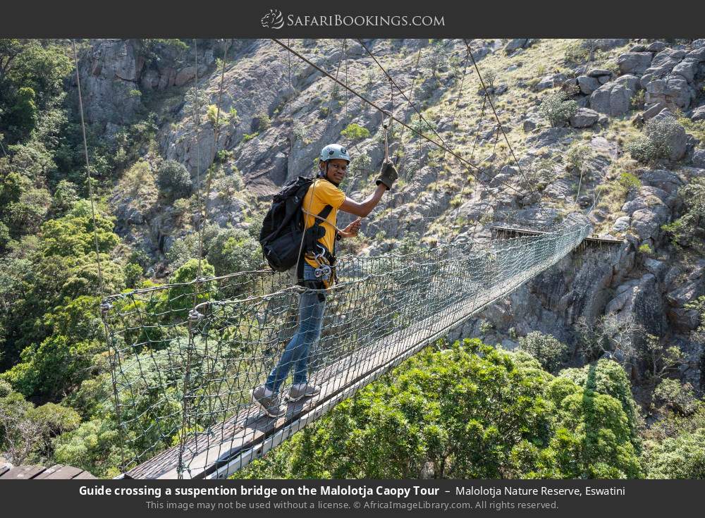 Guide crossing a suspention bridge on the Malolotja Caopy Tour in Malolotja Nature Reserve, Eswatini