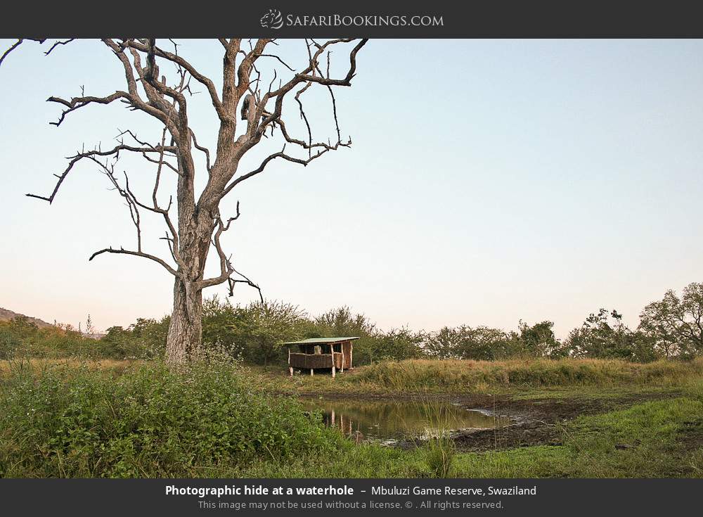 Photographic hide at a waterhole in Mbuluzi Game Reserve, Eswatini