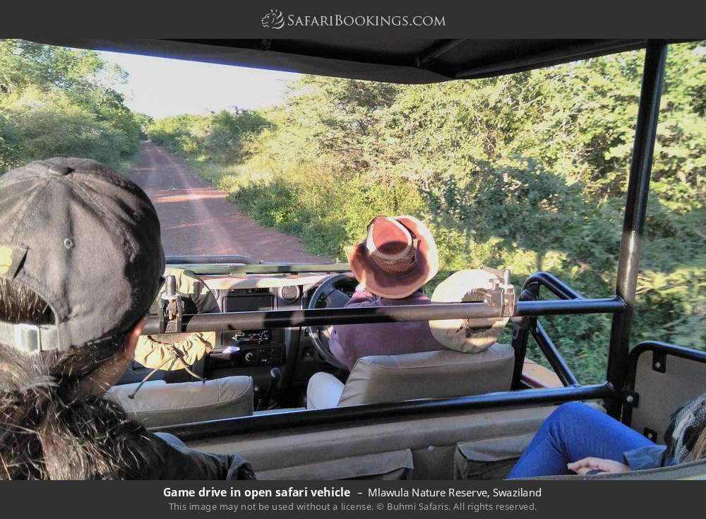 Game drive in open safari vehicle in Mlawula Nature Reserve, Eswatini