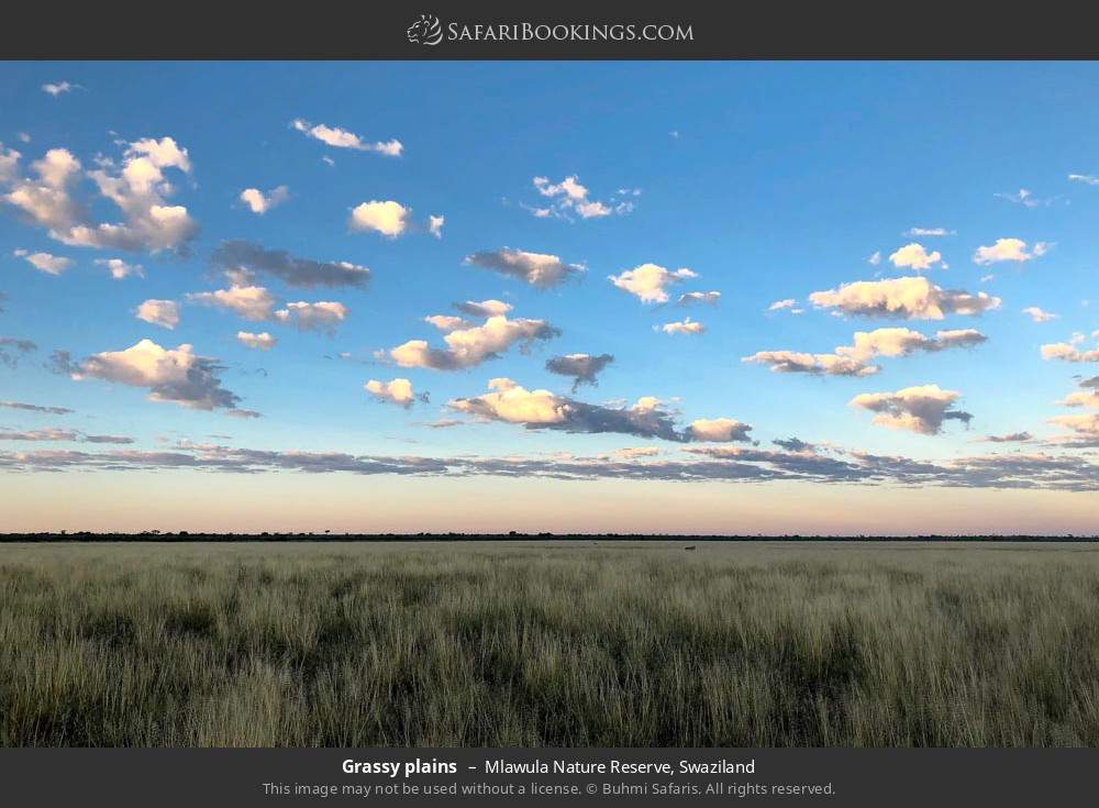 Grassy plains in Mlawula Nature Reserve, Eswatini