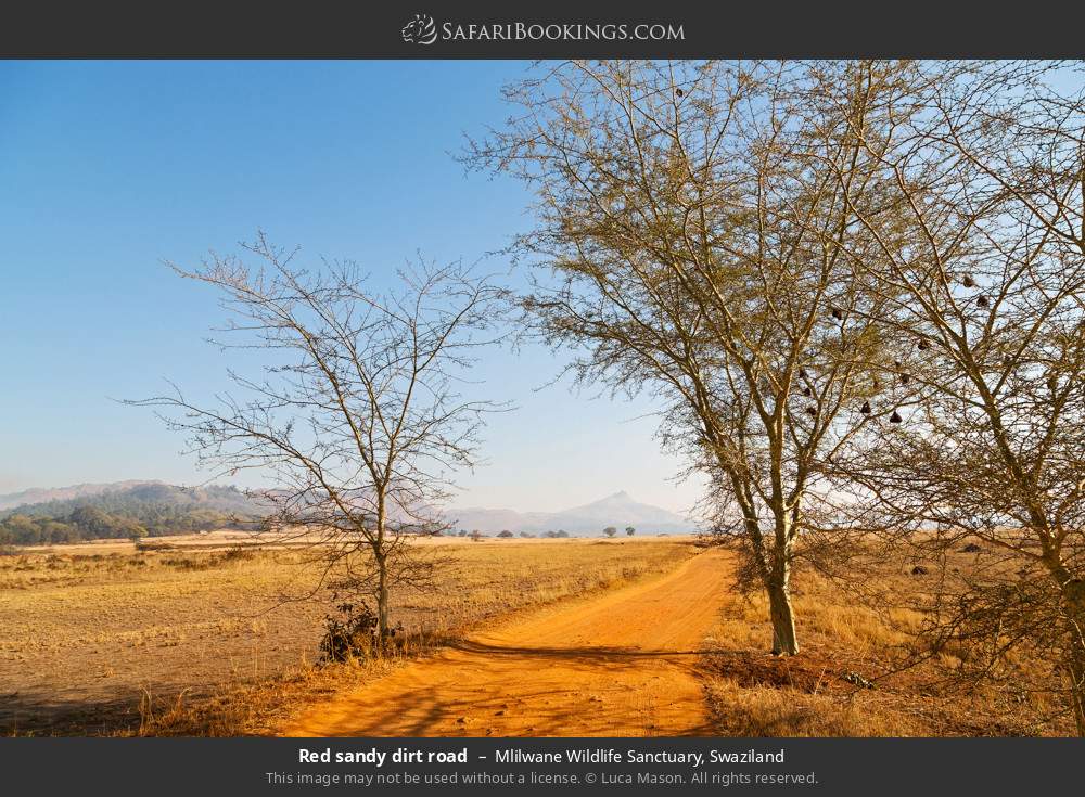Red sandy dirt road in Mlilwane Wildlife Sanctuary, Eswatini