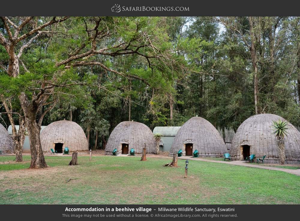 Accommodation in a beehive village in Mlilwane Wildlife Sanctuary, Eswatini