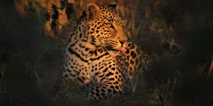 Mlawula Nature Reserve