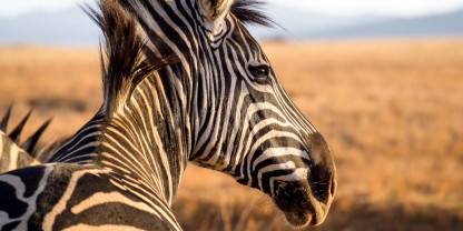 Mlilwane Wildlife Sanctuary