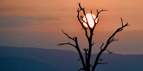 3-Day Eswatini Safari & Bushman Cave Camping Tour