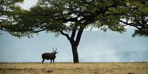 3-Day Kingdom of Swaziland Wonders from Johannesburg