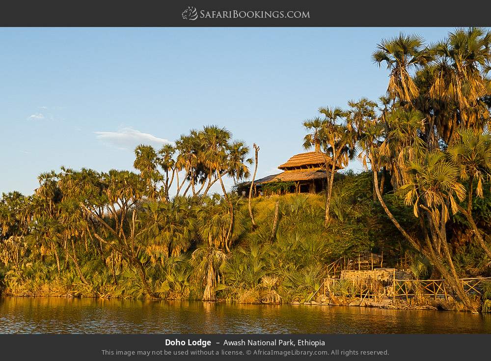 Doho Lodge in Awash National Park, Ethiopia