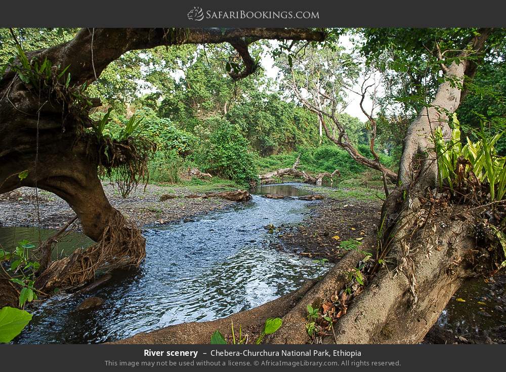 River scenery in Chebera-Churchura National Park, Ethiopia