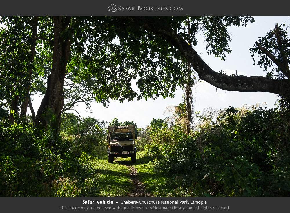 Safari vehicle in Chebera-Churchura National Park, Ethiopia