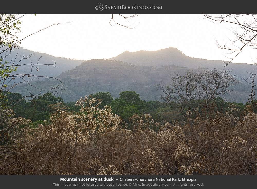 Mountain scenery at dusk in Chebera-Churchura National Park, Ethiopia