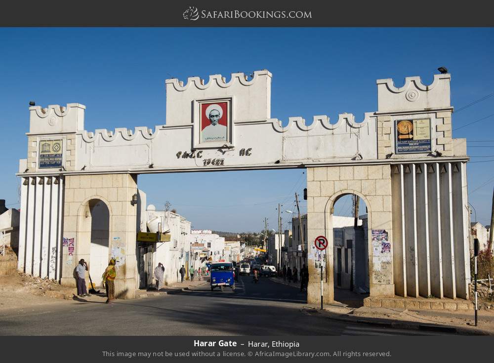 Ethiopia Safari: 7-Day the Classic Historic Route of Ethiopia and Harar