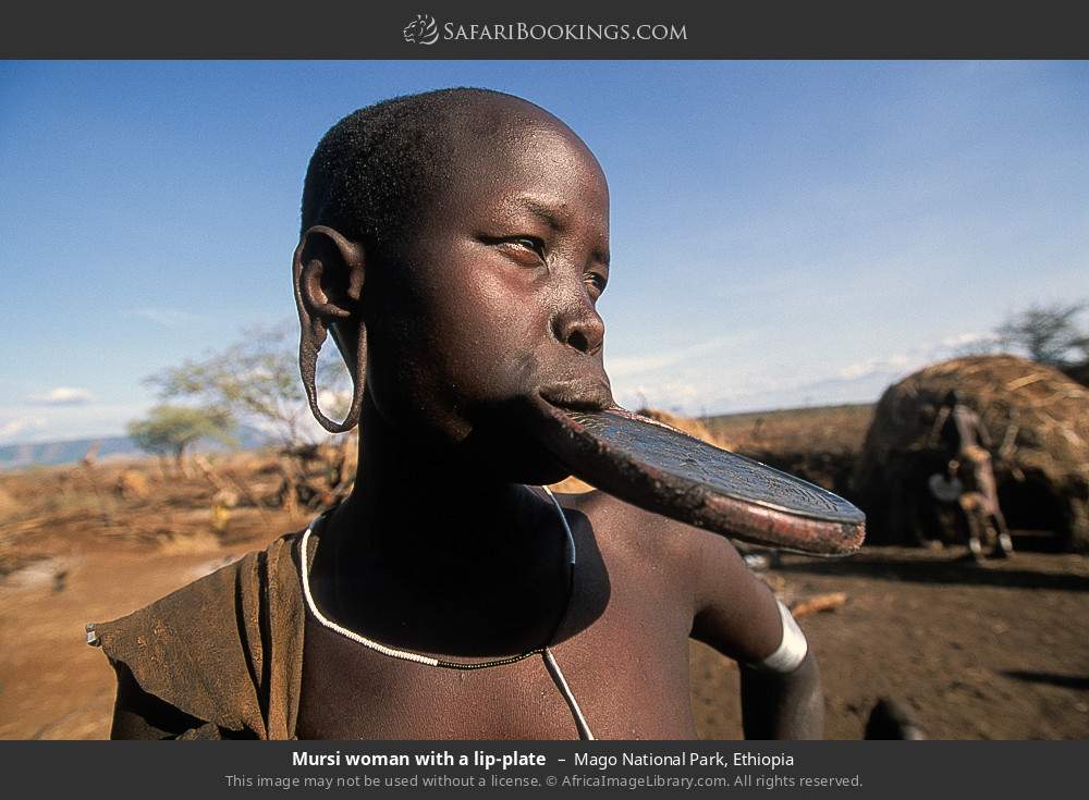 Mursi woman with a lip-plate in Mago National Park, Ethiopia