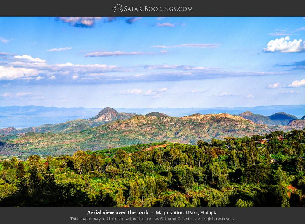 Aerial view over the park in Mago National Park, Ethiopia