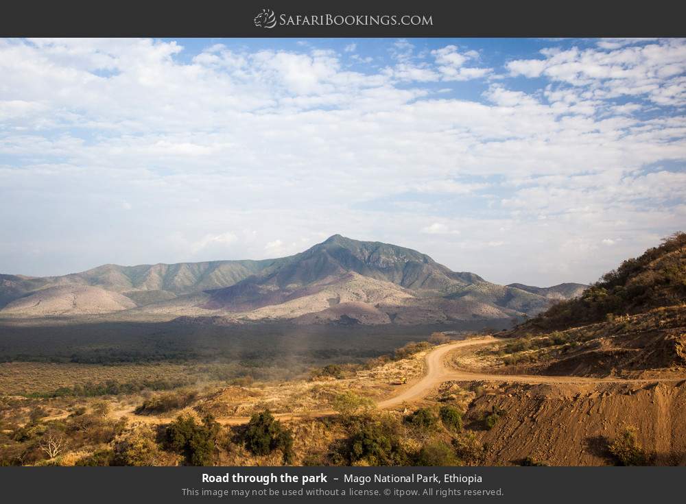Road through the park in Mago National Park, Ethiopia
