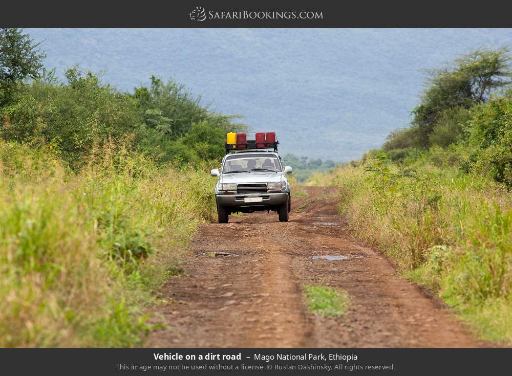Vehicle on a dirt road in Mago National Park, Ethiopia